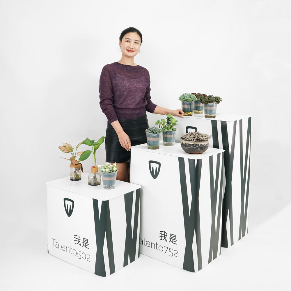 tragbarer rechteckiger Ausstellungsständer 